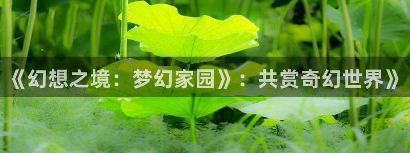 新闻图片